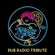Rub Radio - Paradise Garage Tribute image
