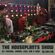 The Houseplants  Show - Kingsday Special (15/04/2019) image