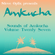 Steve Optix - Sounds of Amkucha Volume Twenty Seven image