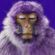 Purple Monkey (Special Merkaba Tribute mix) by Holomood image