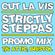 Strictly Steppas Launch Party  mix - The Attic, Bristol, 7th June 2012 image