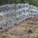 Wire Fence image