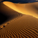 love in desert image