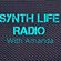 Synth Life Radio - Podcast 2 image