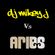 DJ Mikey J Vs Aries image