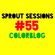 SPROUT SESSIONS-Volume 55-COLORBLOG image