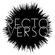 Recto/Verso - The Darling image