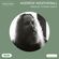 Andrew Weatherall – Mixed by Timothy Clerkin image
