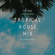 Tropical House Mix image