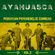 Ayahuasca: Peruvian Psychedelic Cumbias Vol.2 image