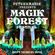 Mixmaster Morris @ Magik Forest Festival pt1 image