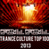 Veselin Tasev - Trance Culture Top 100 of 2013 (2013-12-31)  image