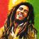 Bob Marley - Tribute image