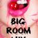 Big Room Mix 117 image