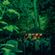 Simma (Dub Junction): Live From The Forest [Gottwood Radio] (June '23) image