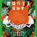 2020國語世大運 image