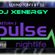 DJ Xenergy - "return2pulse" (Nov. 2011) image