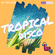 tropical disco image