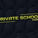 kelvin momos private school amapiano (mixtape edition by Dj L_buttress) image