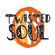 TWISTED SOUL BOOGIE PROMO MIX image