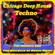 Chicago Deep House Techno - The Midnite Son The Disciples of House Music image