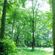hypnotic_dream_meditation image
