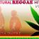 Cultural Reggae Hitz Vol.9_selecta_Dubfire_Promo_Mix_CD image