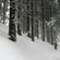 007 image