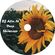 AlinM - Deep Showcase image
