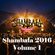 Shambala 2016:  A Musical Journey vol.1 image