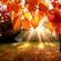 Autumn Mix (6.11.13) // Deep House // image