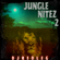 Jungle Nitez 2 image
