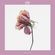 Soulection & Chill: Yukibeb - Cuz You image