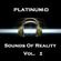 PlatinumD - Sounds Of Reality 2 image