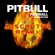 Pitbull ft John Ryan - Fireball (DJ SCOOTER REMIX) image