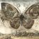 Jay Shaw-Butterfly Effect Bonus CD image