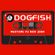 Dogfish Mixtape #2 - DJ Ben Nov 2004 image