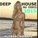DEEP HOUSE NU DISCO 2015 image