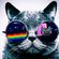 #Nu Disco : Cat image