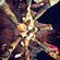 【DeeJay AK】『小周PRIVATE』『經典傷感快搖歌曲』『怨天怨地〤秋風落葉〤你的選擇〤來生不分手〤不願再等候〤R3M!X 2K23 PRIVATE MIXTAPE』 image