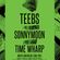 Teebs // Sonnymoon // Time Wharp North American Tour Promo Mix image