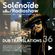 Solénoïde - Dub Translations 36 - Dubby Stardust, Easy Star All-Stars, Dubmatix, Mystical Faya... image