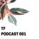 TF Podcast 001 - Erica Menei image