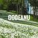 Godeanu - Spring.Field image