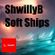 SOFT SHIPS image