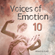 Voices of Emotion 10 image