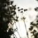 Beautiful beats 15 October 2021 image