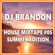 DJ Brandon - House Mixtape #05 - Summer Special image