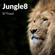 Jungle 8 image