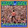 HAPPY DAZE 18= Ramones, Rage Against The Machine, Ocean Colour Scene, Ian Dury, Mock Turtles, Moby.. image